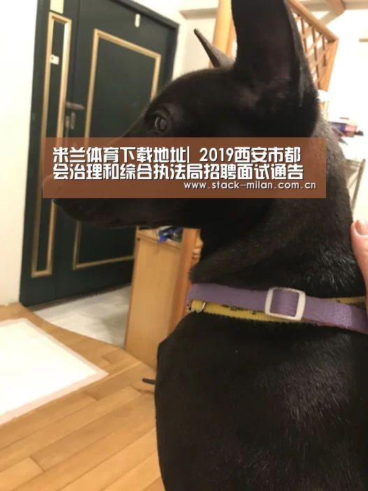 米兰体育下载地址|
2019西安市都会治理和综合执法局招聘面试通告(图2) 米兰体育下载