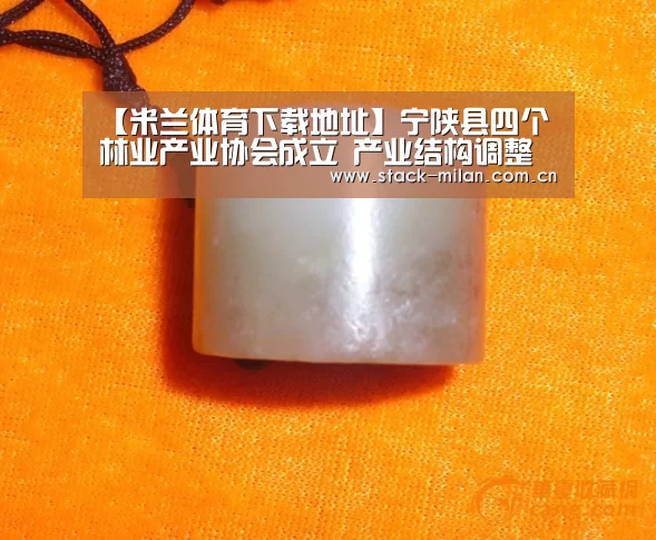 【米兰体育下载地址】宁陕县四个林业产业协会成立 产业结构调整取得新进展(图1) 米兰体育下载