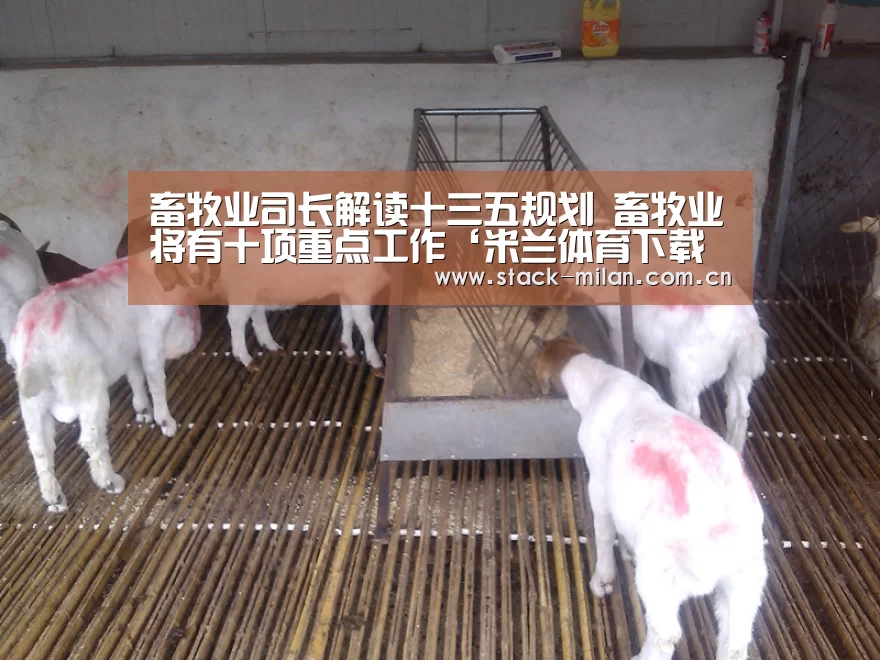 畜牧业司长解读十三五规划 畜牧业将有十项重点工作‘米兰体育下载地址’(图4) 米兰体育下载