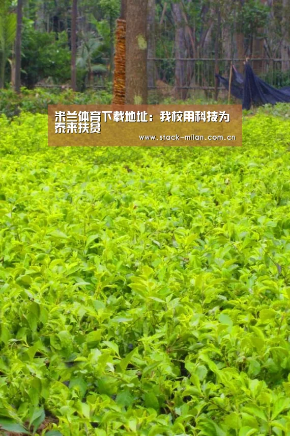 米兰体育下载地址
