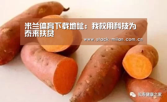 米兰赛事