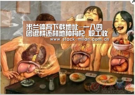 米兰体育下载地址-一八四团退耕还林地种枸杞 职工收获生态红利(图2) 米兰体育下载