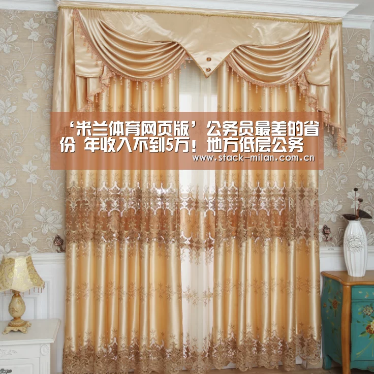 ‘米兰体育网页版’公务员最差的省份 年收入不到5万!地方低层公务员:迁就生活(图3) 米兰赛事